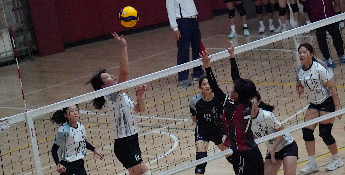 臺大攻擊手感滾燙，直落三拿下勝利。攝/孫千筑